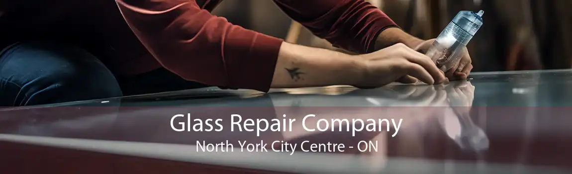 Glass Repair Company North York City Centre - ON