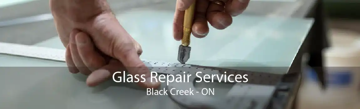 Glass Repair Services Black Creek - ON