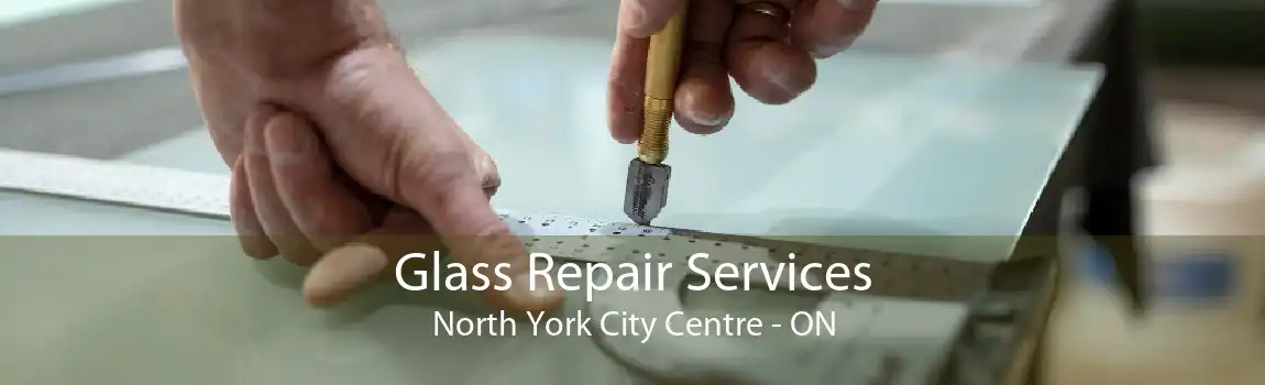 Glass Repair Services North York City Centre - ON