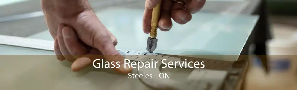 Glass Repair Services Steeles - ON