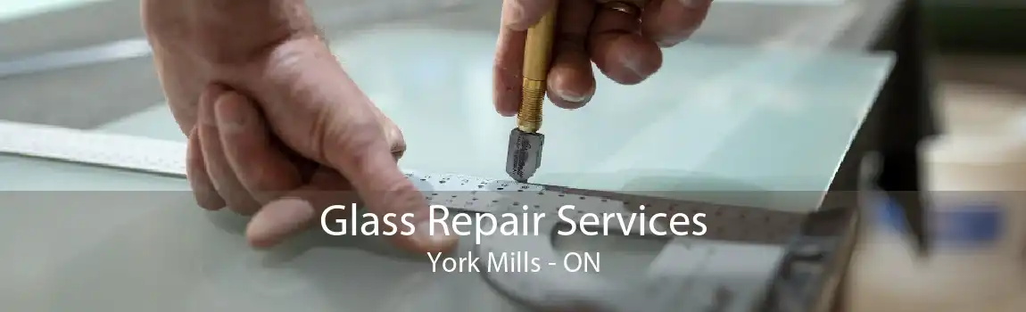 Glass Repair Services York Mills - ON