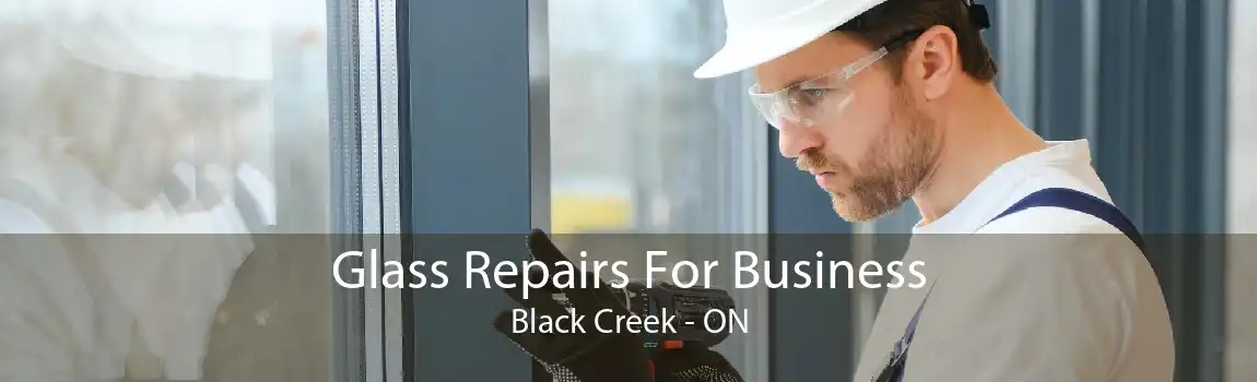 Glass Repairs For Business Black Creek - ON