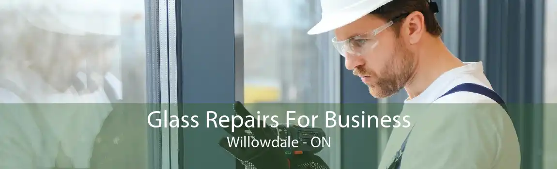 Glass Repairs For Business Willowdale - ON