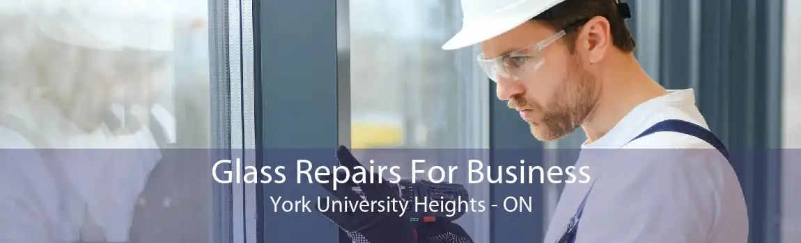 Glass Repairs For Business York University Heights - ON