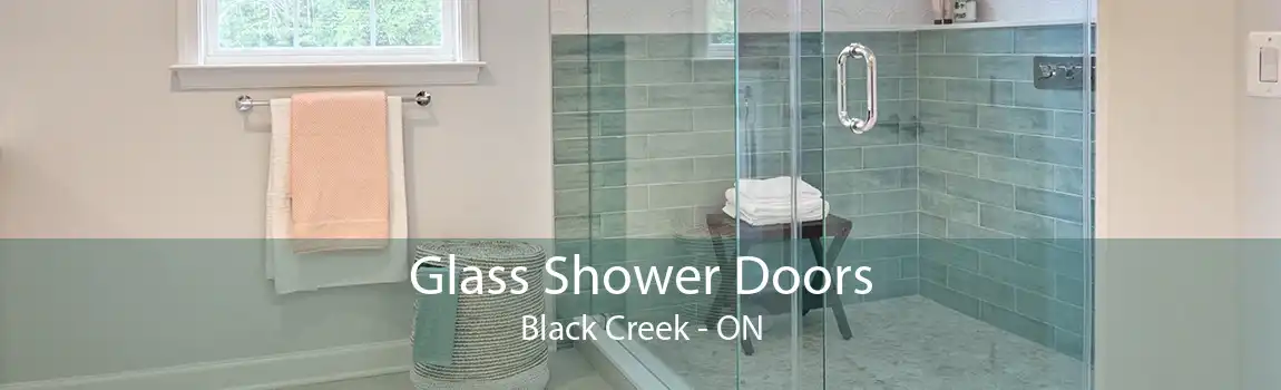 Glass Shower Doors Black Creek - ON