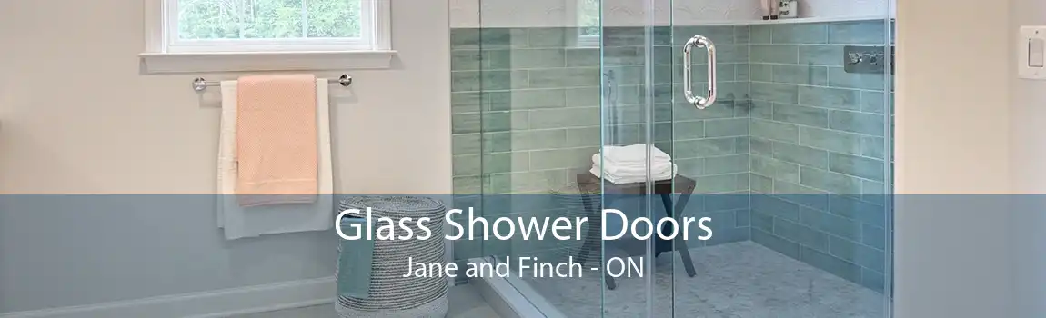 Glass Shower Doors Jane and Finch - ON