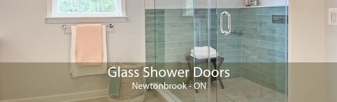 Glass Shower Doors Newtonbrook - ON