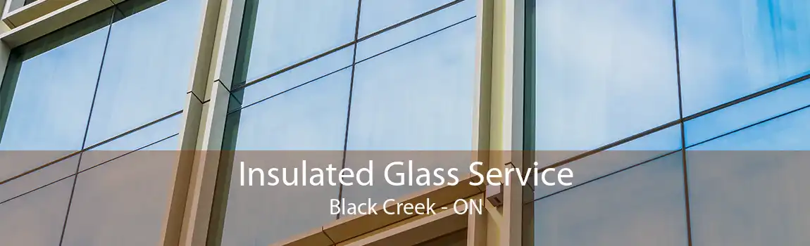 Insulated Glass Service Black Creek - ON