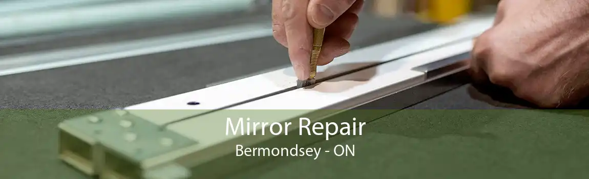 Mirror Repair Bermondsey - ON