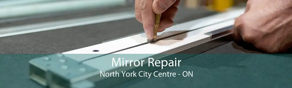 Mirror Repair North York City Centre - ON