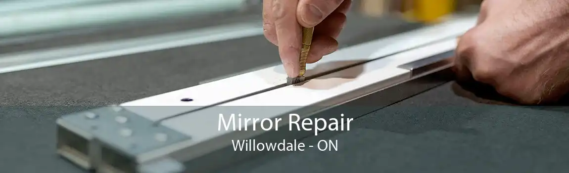 Mirror Repair Willowdale - ON
