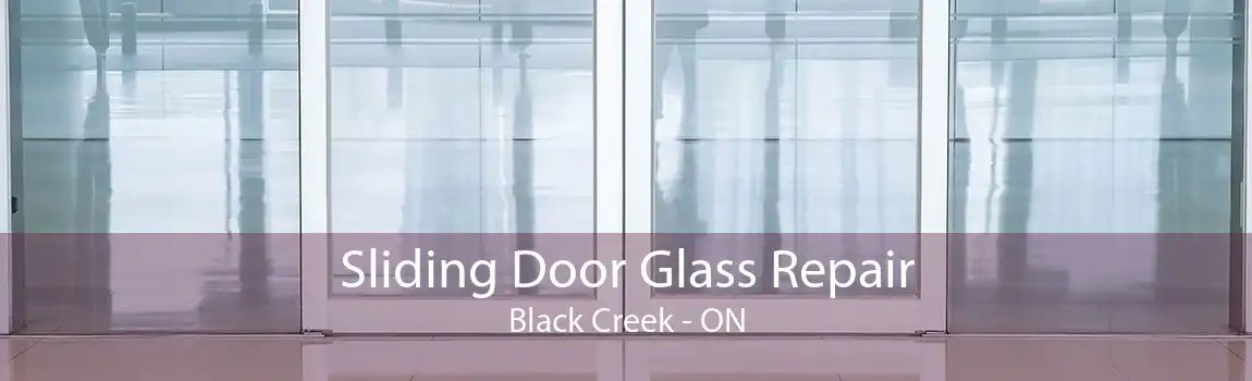 Sliding Door Glass Repair Black Creek - ON