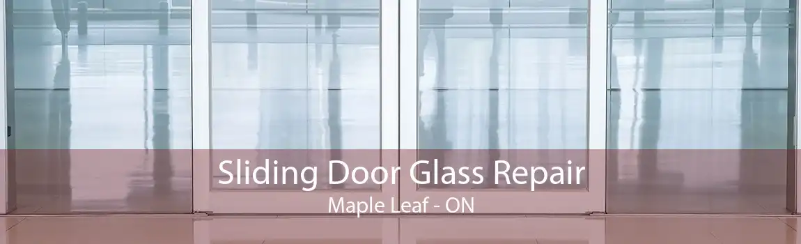 Sliding Door Glass Repair Maple Leaf - ON