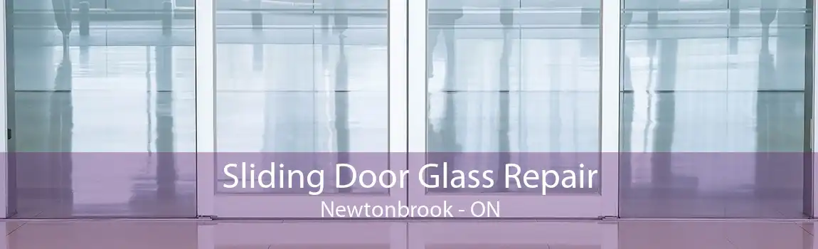 Sliding Door Glass Repair Newtonbrook - ON
