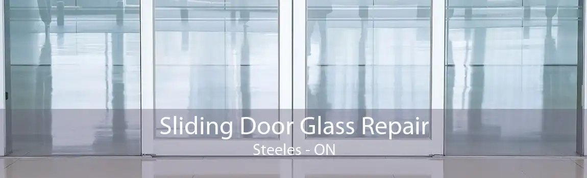 Sliding Door Glass Repair Steeles - ON