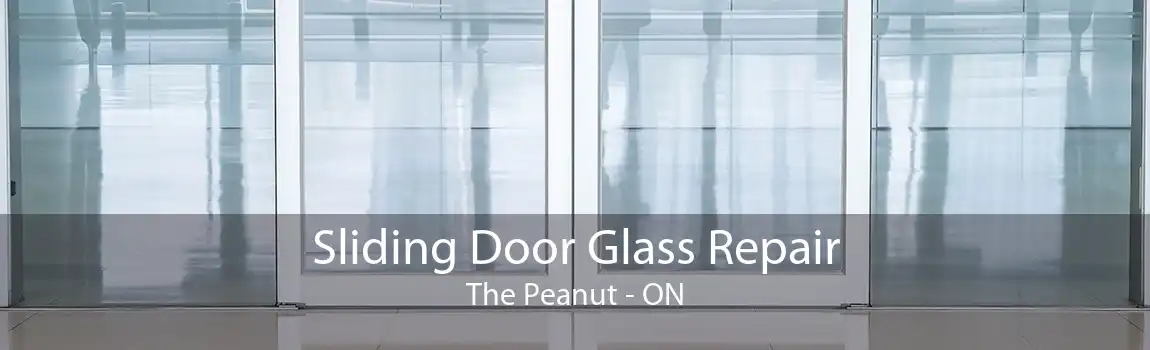 Sliding Door Glass Repair The Peanut - ON
