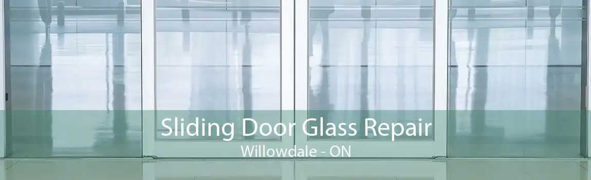 Sliding Door Glass Repair Willowdale - ON