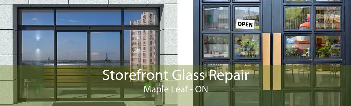 Storefront Glass Repair Maple Leaf - ON