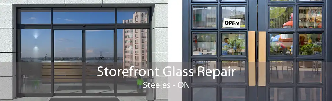 Storefront Glass Repair Steeles - ON