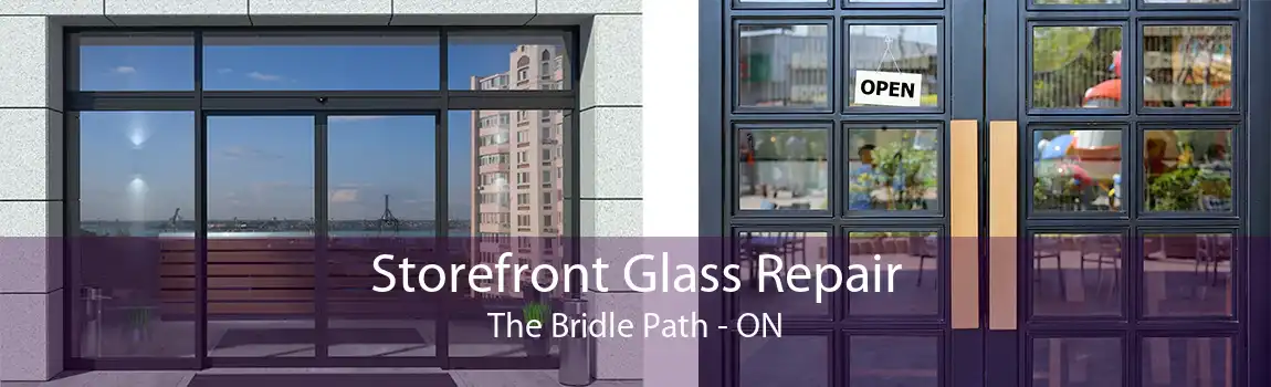 Storefront Glass Repair The Bridle Path - ON