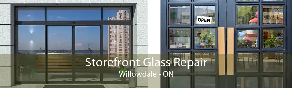 Storefront Glass Repair Willowdale - ON