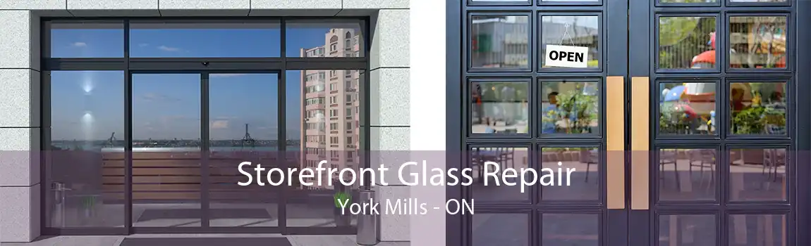 Storefront Glass Repair York Mills - ON