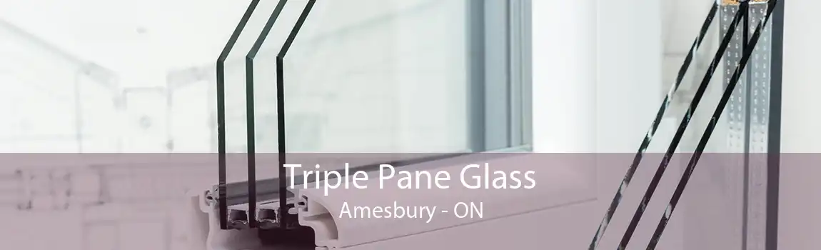 Triple Pane Glass Amesbury - ON