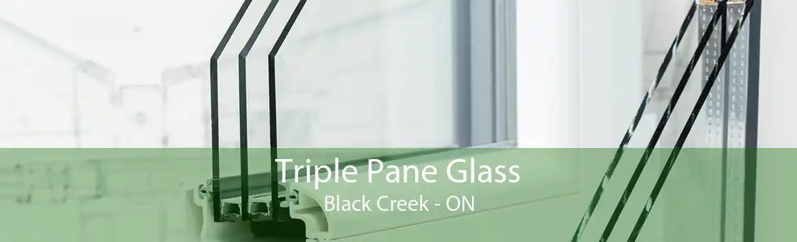 Triple Pane Glass Black Creek - ON