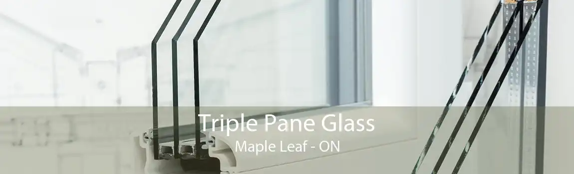 Triple Pane Glass Maple Leaf - ON