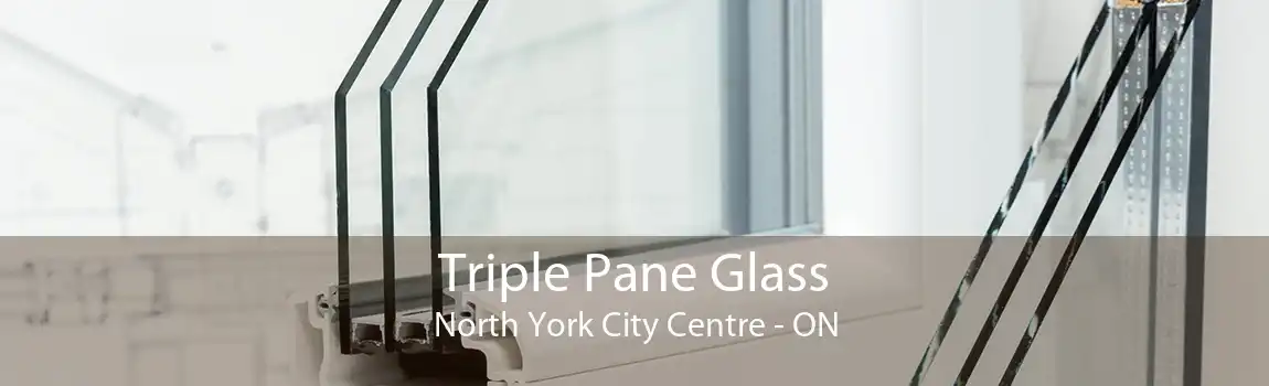 Triple Pane Glass North York City Centre - ON