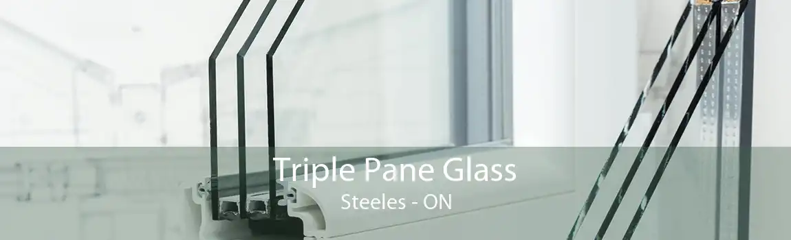 Triple Pane Glass Steeles - ON