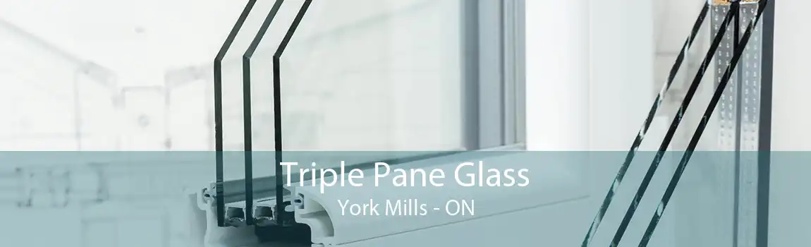 Triple Pane Glass York Mills - ON