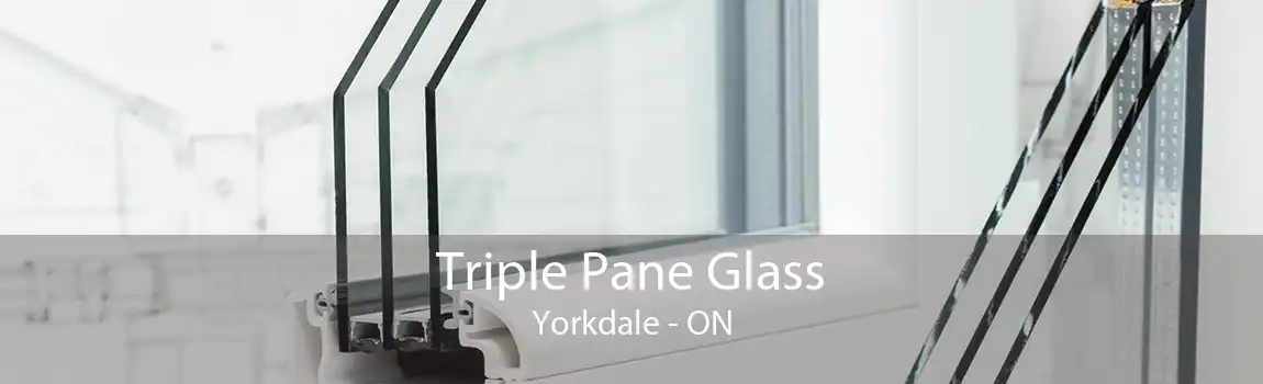 Triple Pane Glass Yorkdale - ON