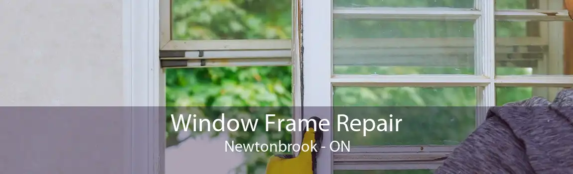 Window Frame Repair Newtonbrook - ON