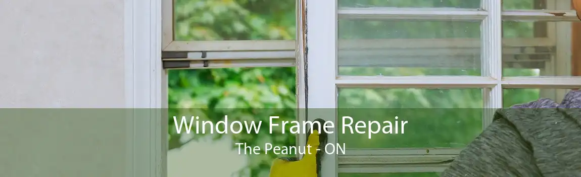 Window Frame Repair The Peanut - ON