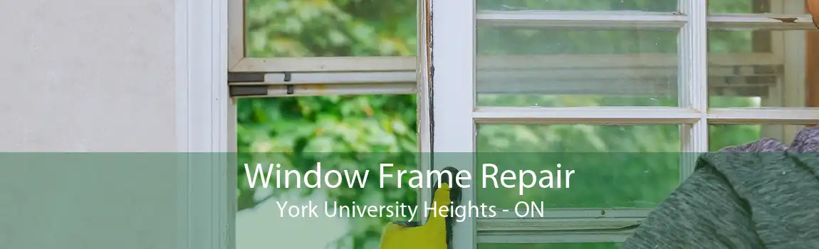 Window Frame Repair York University Heights - ON