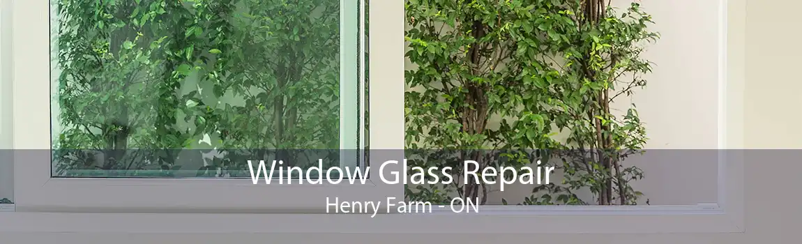 Window Glass Repair Henry Farm - ON