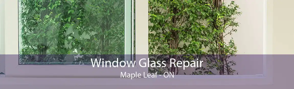 Window Glass Repair Maple Leaf - ON