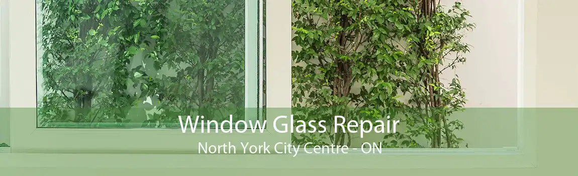 Window Glass Repair North York City Centre - ON