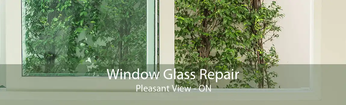 Window Glass Repair Pleasant View - ON