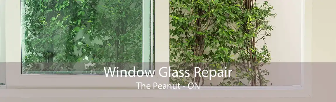 Window Glass Repair The Peanut - ON