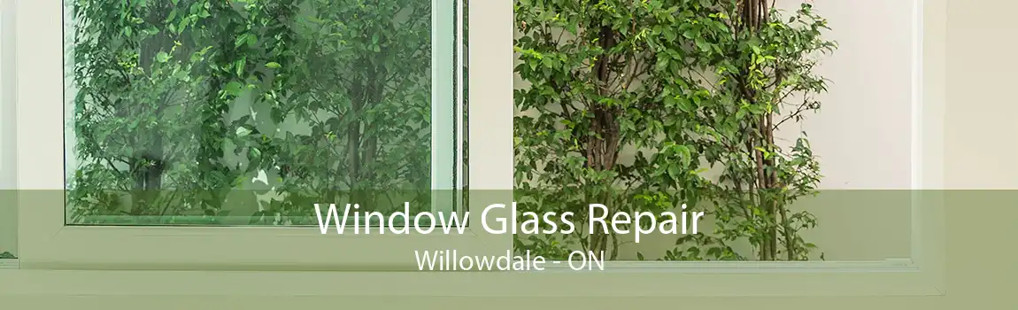 Window Glass Repair Willowdale - ON