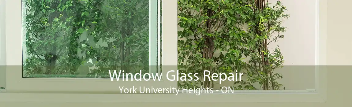 Window Glass Repair York University Heights - ON