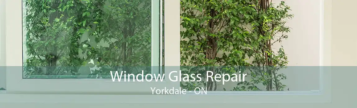 Window Glass Repair Yorkdale - ON
