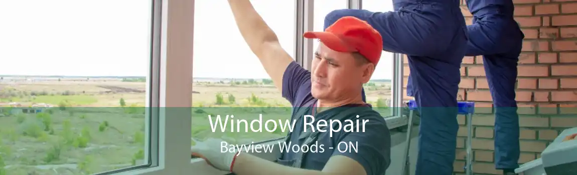 Window Repair Bayview Woods - ON