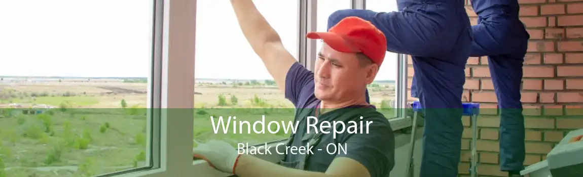 Window Repair Black Creek - ON