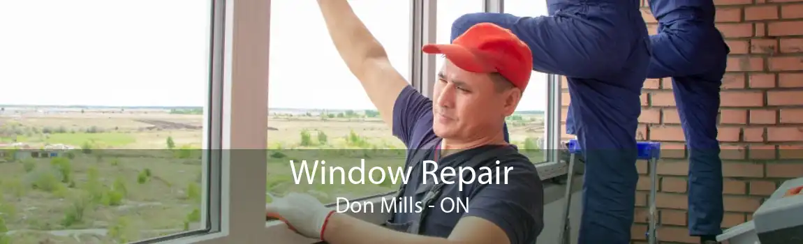 Window Repair Don Mills - ON