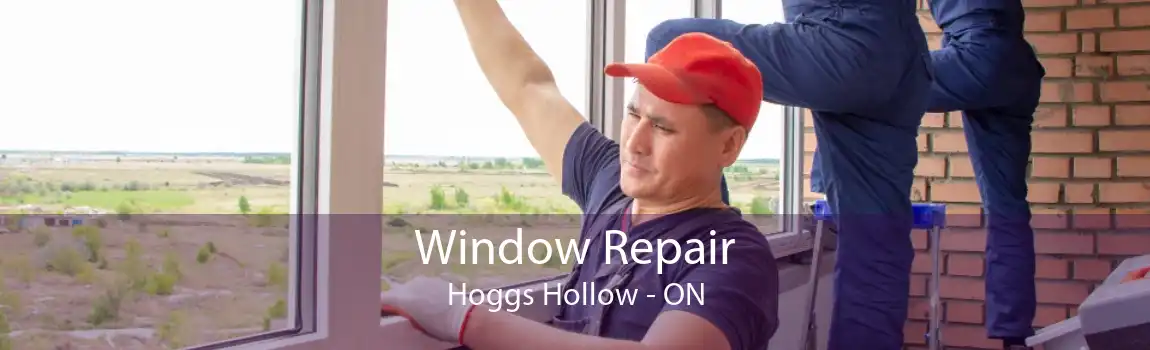 Window Repair Hoggs Hollow - ON