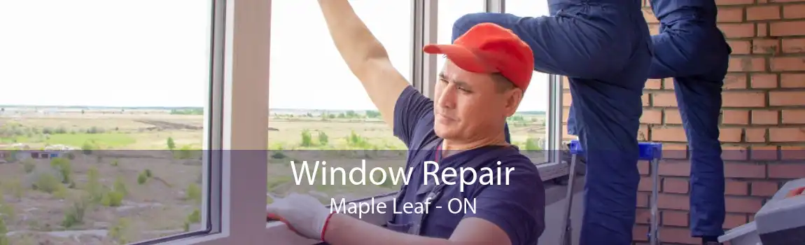 Window Repair Maple Leaf - ON