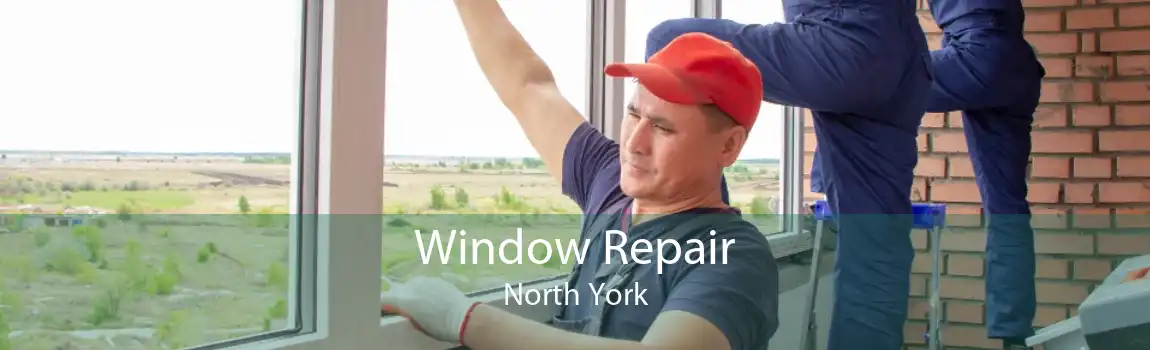 Window Repair North York
